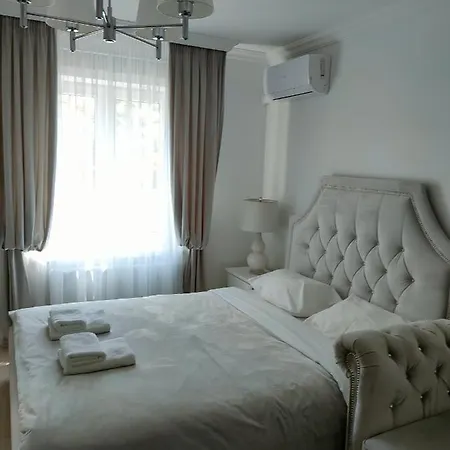 别墅 弗雷德里克别墅 库瑞尼卡慕斯卡